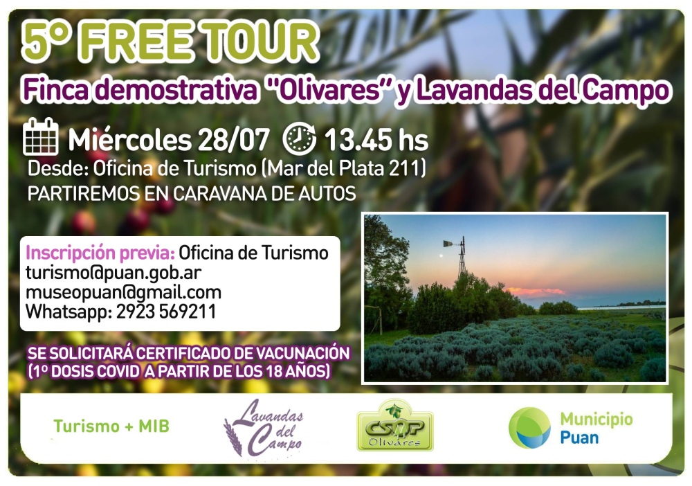 5° FREE TOUR: visita a “Olivares” y "Lavandas del campo"