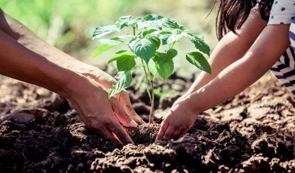 Plantarg: el proyecto de un influencer del agro para ayudar al medioambiente