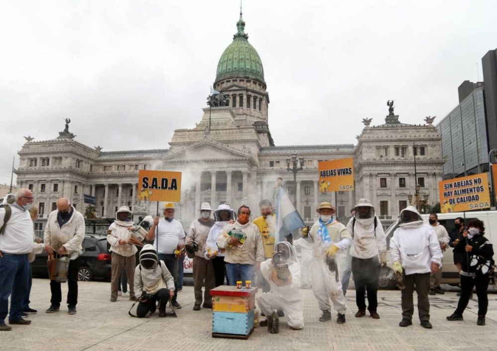 Apicultores realizaron una protesta frente al Congreso: denunciaron el uso de agrotóxicos y monocultivos trasngénicos