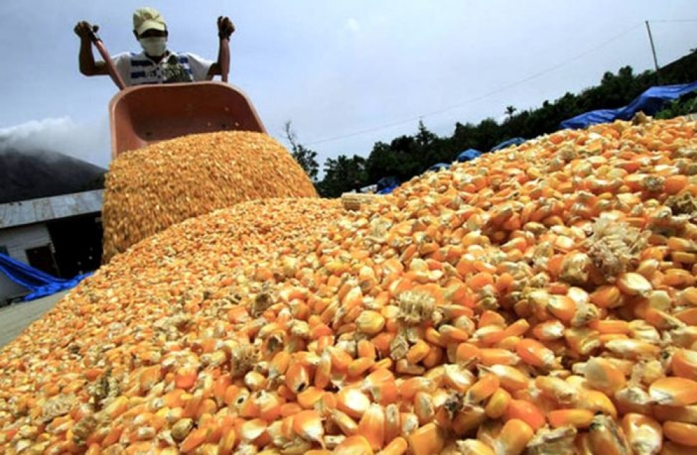 La Mesa de Enlace y la oposición, contra los nuevos límites a las exportaciones de maíz