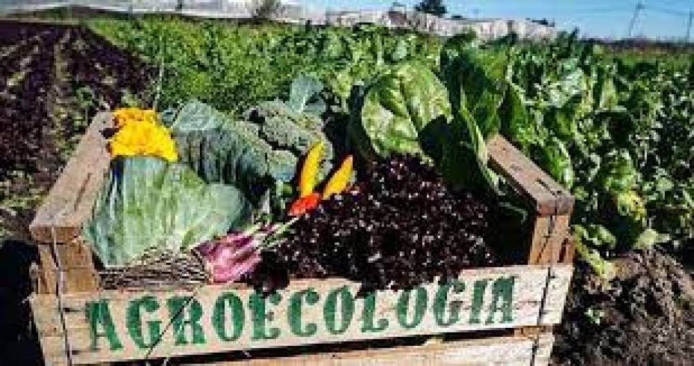 El Registro de Productores Agroecológicos Bonaerense ya tiene 12.540 hectáreas certificadas