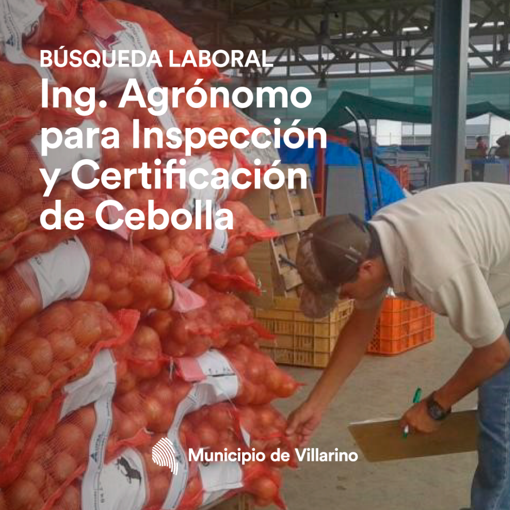 Villarino: Ingeniero Agrónomo para Inspección y Certificación de Cebolla