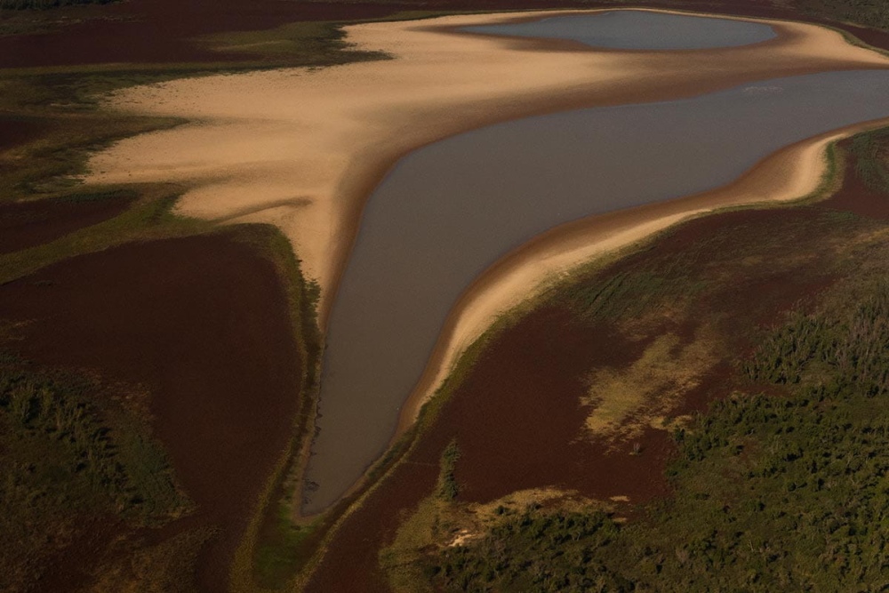 Río Paraná: “No es una bajante, no es una sequía. Es la deforestación”