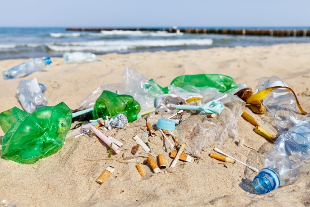 Contaminación: Más del 84% de los residuos encontrados en la costa bonaerense son plásticos
