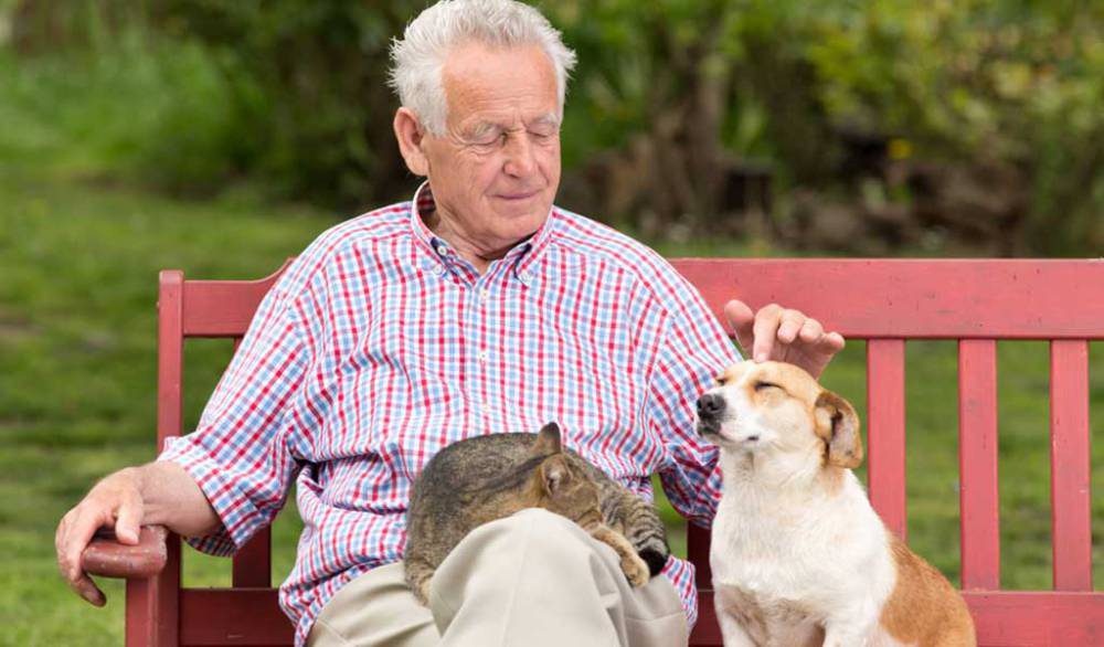 Según un estudio, los animales domésticos reducen el deterioro cognitivo de los adultos mayores