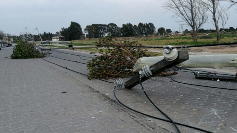 Bahía Blanca: Un temporal de viento provocó la caída de árboles y postes de energía