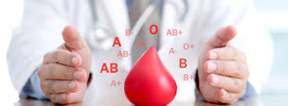 Lunes 7: Campaña de donación de Sangre en Hilario Ascasubi