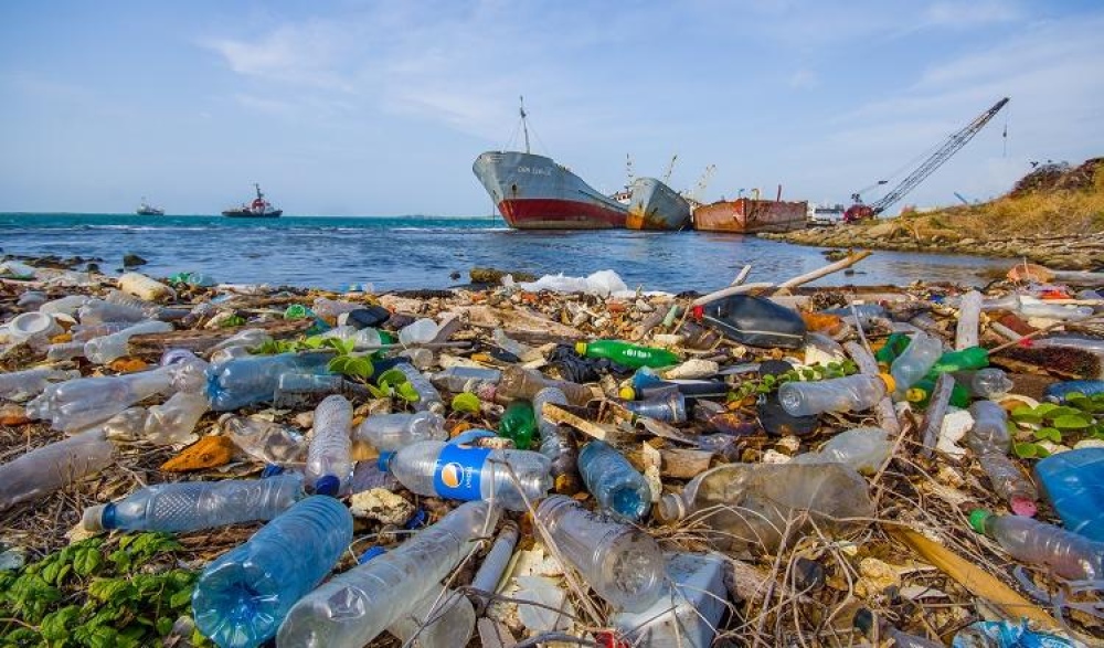 Contaminación ambiental: Tomamos, comemos y respiramos plástico