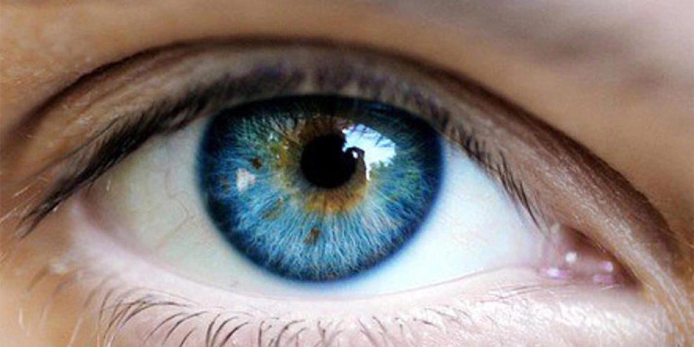 12 de marzo, Día Mundial del Glaucoma