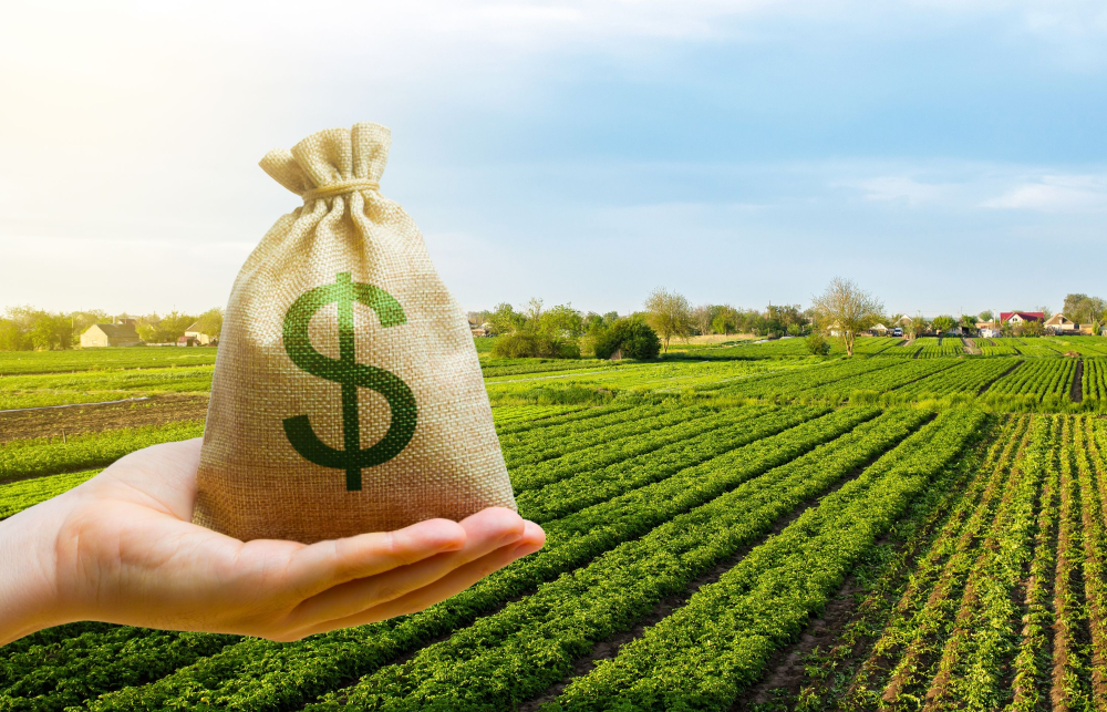 Retenciones: el agro le paga al Estado casi $65 de cada $100 que produce el campo