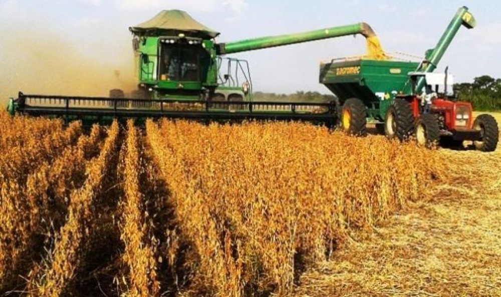 Cierran exportaciones de harina y aceite de soja, desde el sector creen que subirán las retenciones