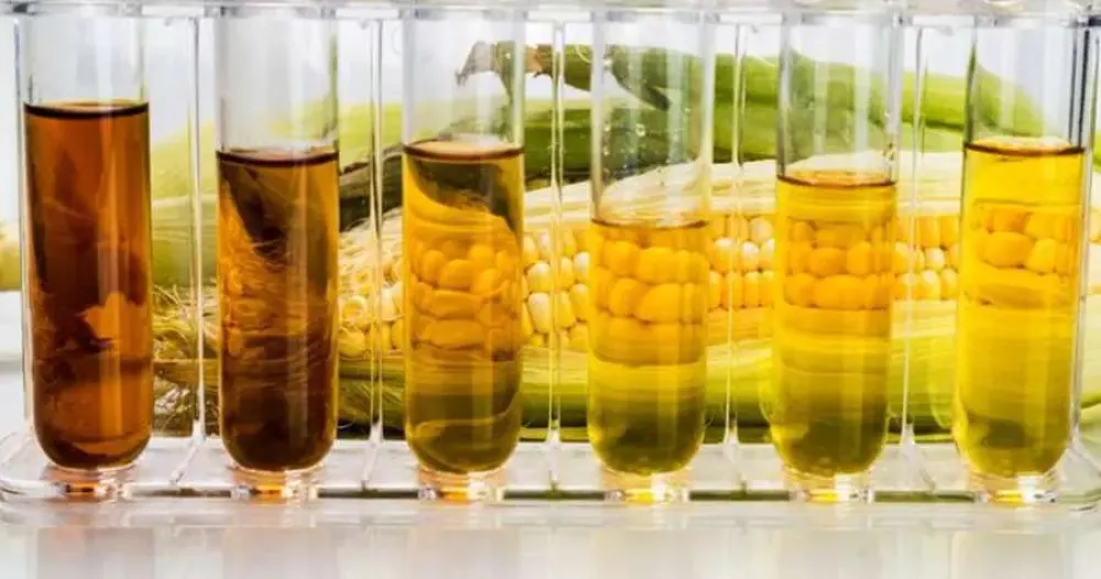 Bioetanol: autorizan una suba escalonada hasta agosto. Cómo impacta en el surtidor