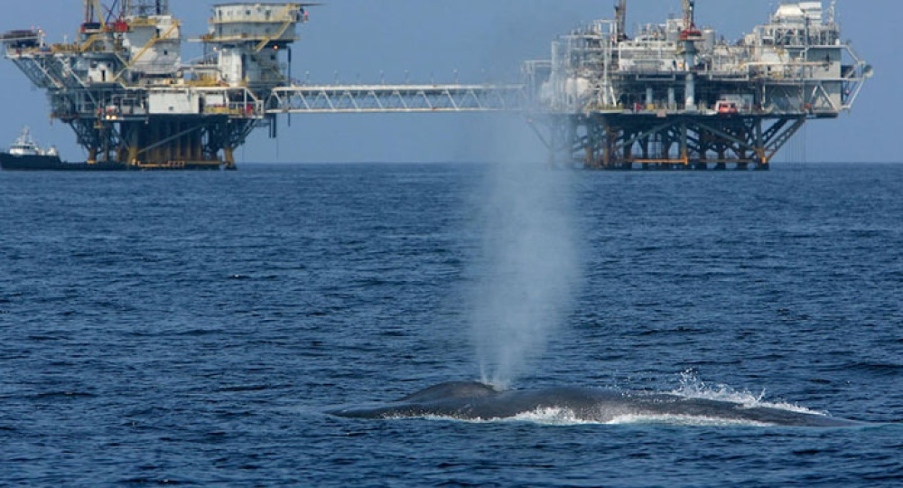 Sectores de poder se entusiasman con el proyecto de exploración petrolera en las costas bonaerenses