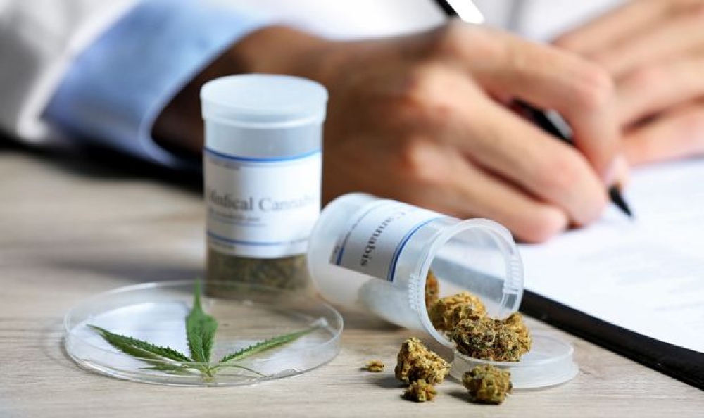 Hablemos de Cannabis: Charla sobre el uso terapéutico en la práctica clínica y veterinaria