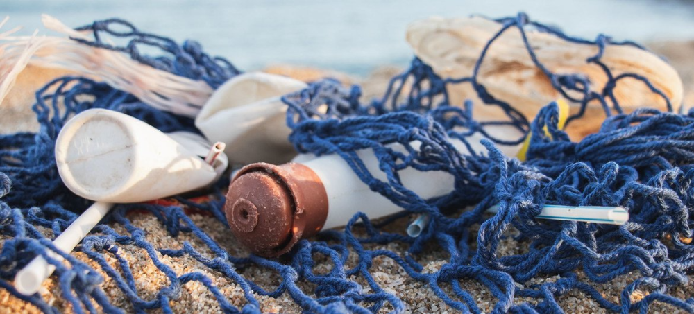 Unsplash/Angela Compagnone Los desechos plásticos marinos afectan a más de 600 especies marinas.