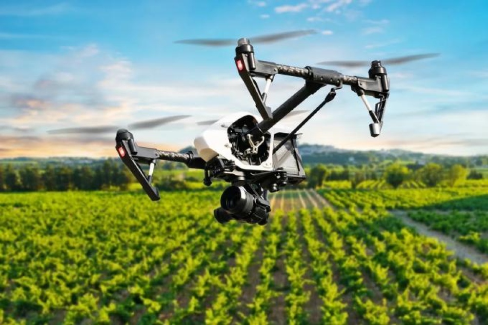 Beca: "Transformación digital agrícola y rural para el establecimiento de una cadena alimentaria inteligente"