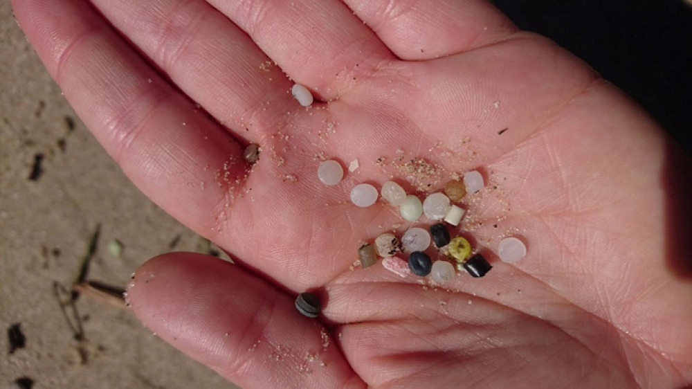 Microplásticos en el agua: Advierten gran presencia de los mismos en distintas áreas del Mar Argentino