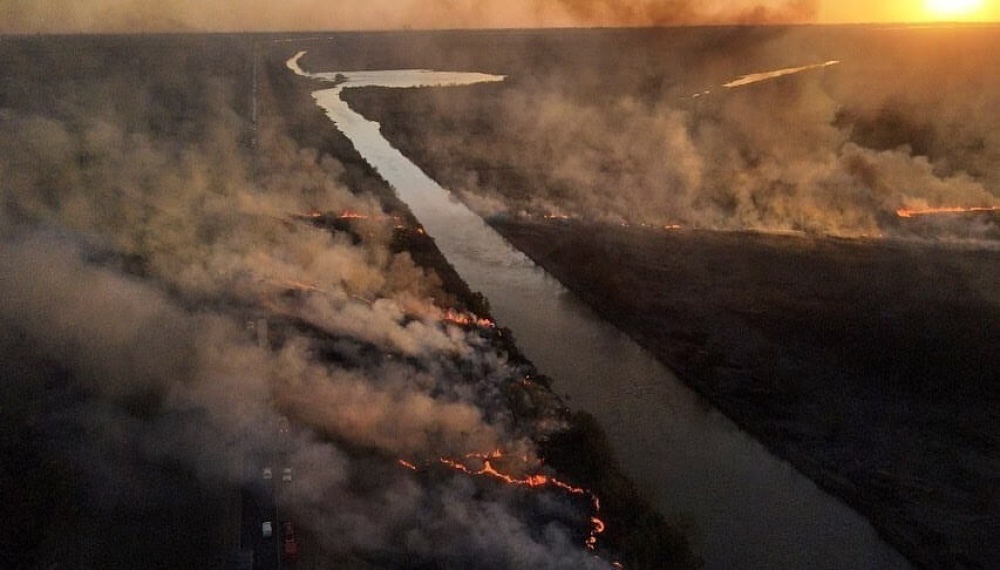 Tres años de sequía complican la producción y favorecen los incendios. ¿Pampa Húmeda?