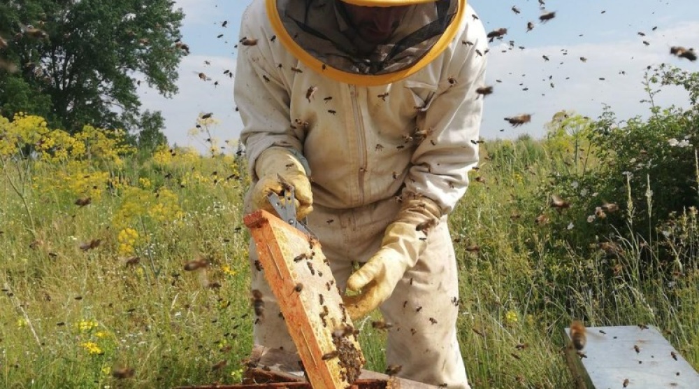 Capacitación para salas de extracción y fraccionado de miel en Villarino
