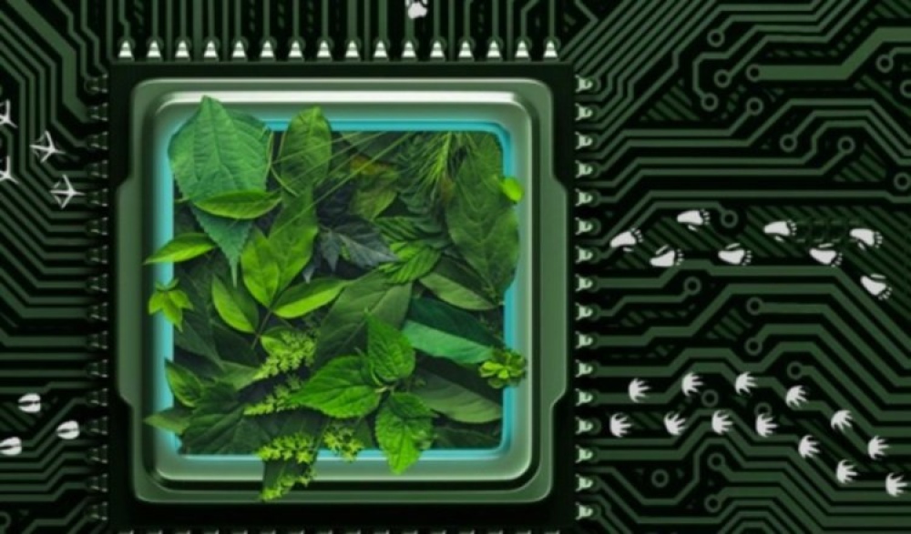 Convocatoria: “Convocatoria de BID Lab para Uso de Tokens Digitales en Biodiversidad y Acción Climática”