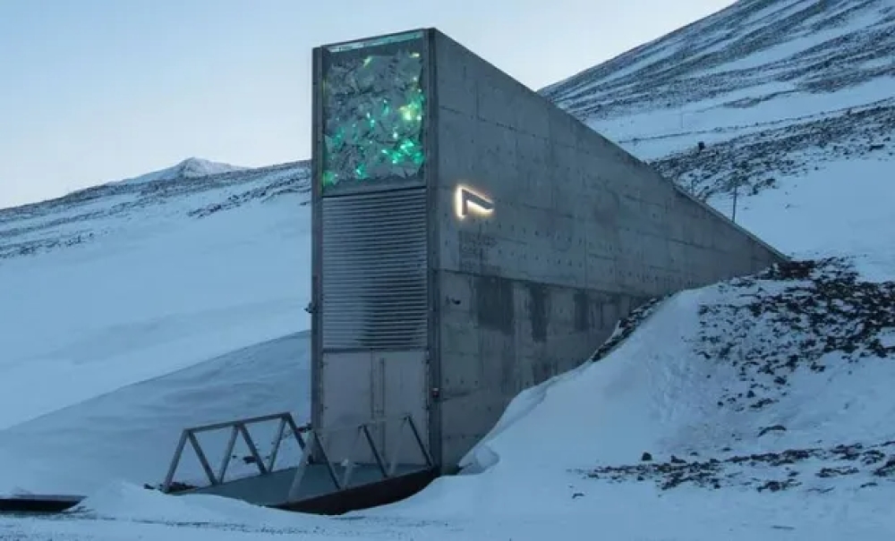 Luego de 3 años, abre sus puertas la Bóveda Global de Svalbard donde ya hay más de un millón de muestras de semillas