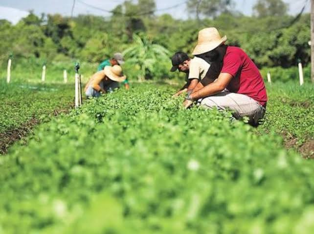 CONINAGRO propuso cambiar planes sociales por trabajo en cooperativas rurales