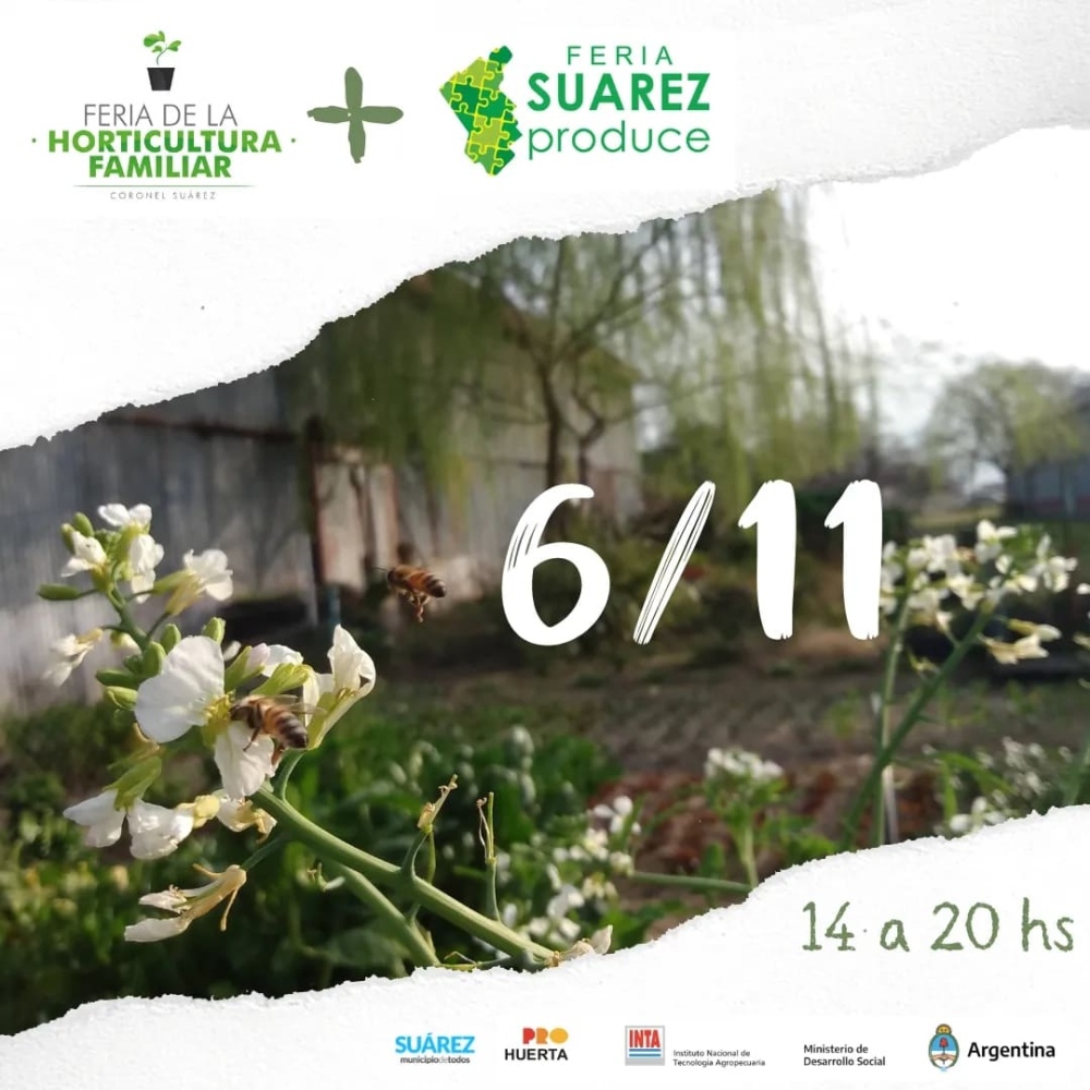 Feria de de la Horticultura Familiar y Artesanal Suárez Produce