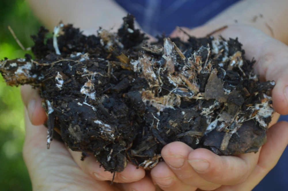 "La Enmienda", un proyecto que busca regenerar el suelo a partir de compost y microbios