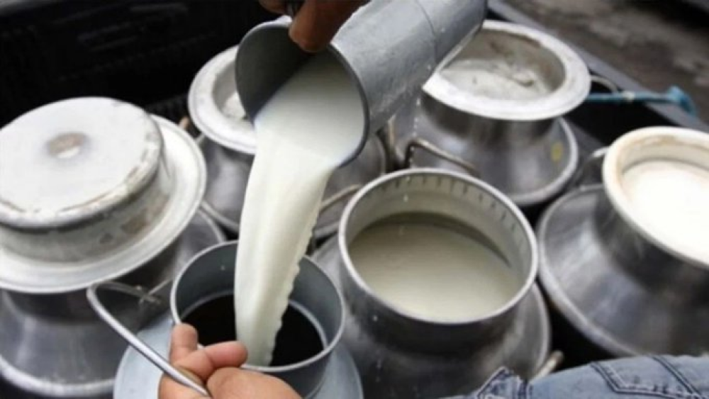 Detectan agrotóxicos en la leche de los tambos de Córdoba
