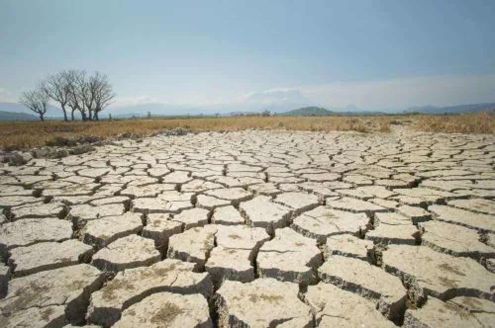 Sequía - Shutterstock