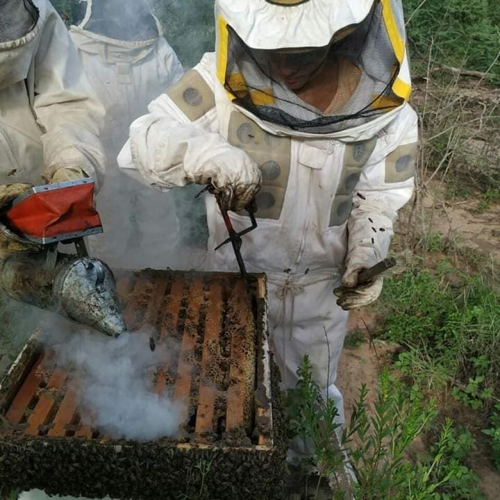 Foto: Erica Moreno en el apiario. INTA EEA La Rioja 