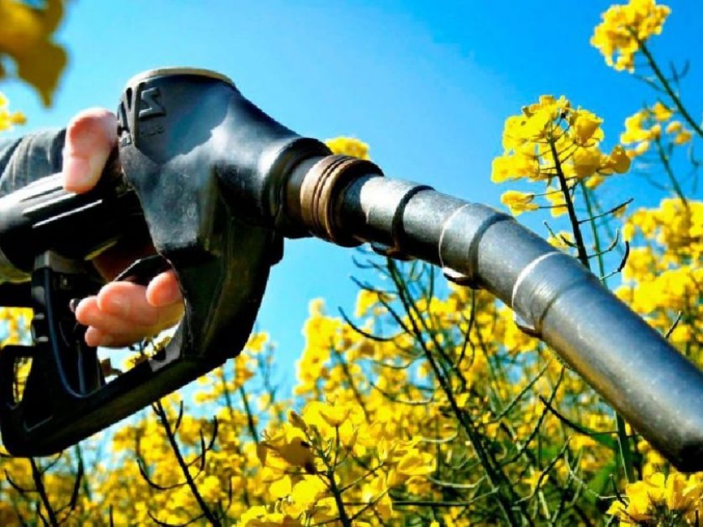 "El precio de venta del biodiesel fijado por el Gobierno es arbitrario, ilegal y discriminatorio"