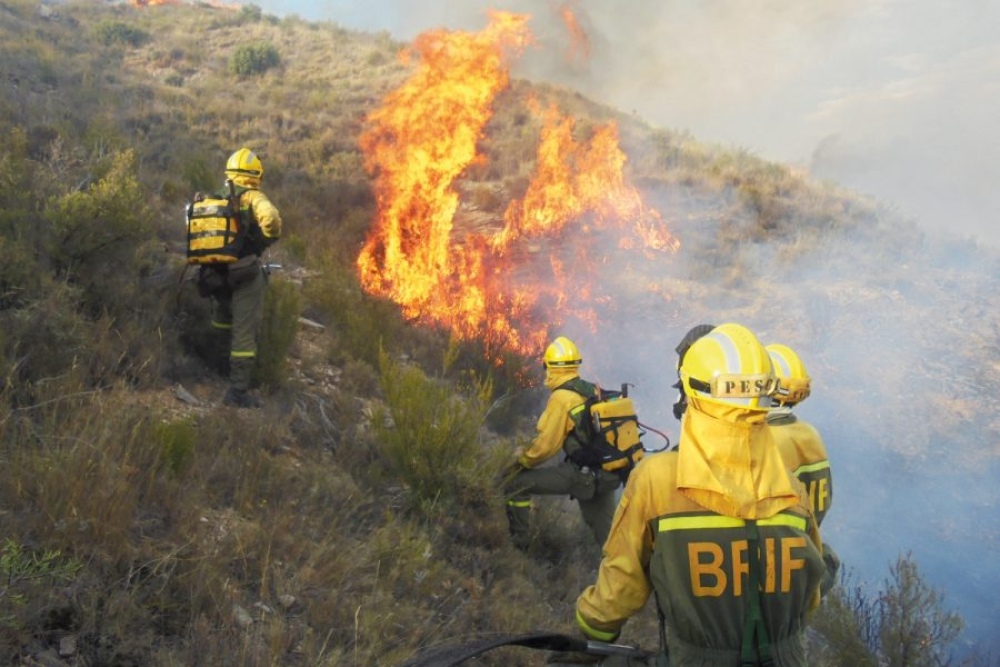 Lanzan la guía de acompañamiento a municipios para la prevención y lucha contra incendios