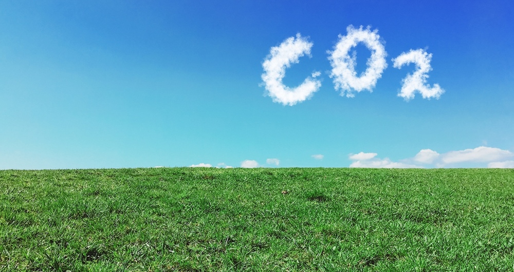¿Quiénes ganan con la agricultura de carbono?