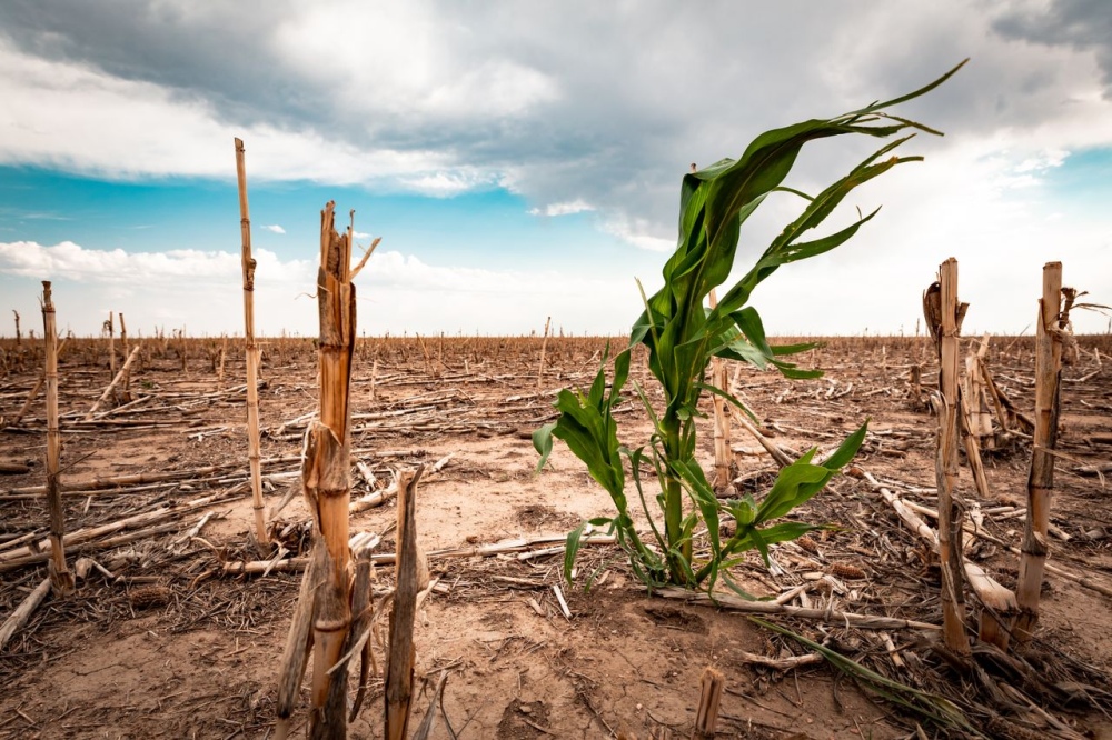 Confirman la extensión hasta el 31 de octubre de la emergencia agropecuaria por la sequía