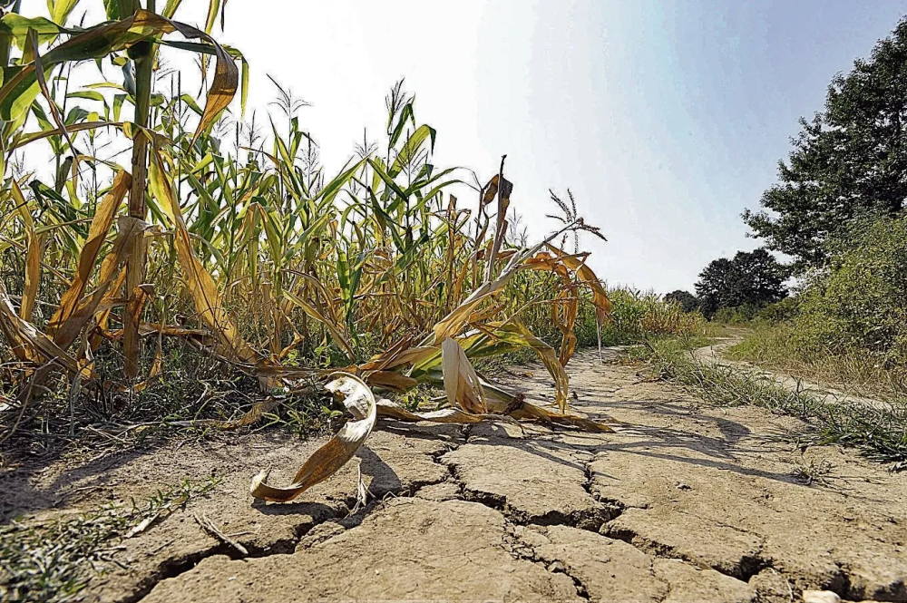 Desde abril rige la emergencia por sequía sólo para los productores afectados que se anoten en el Municipio