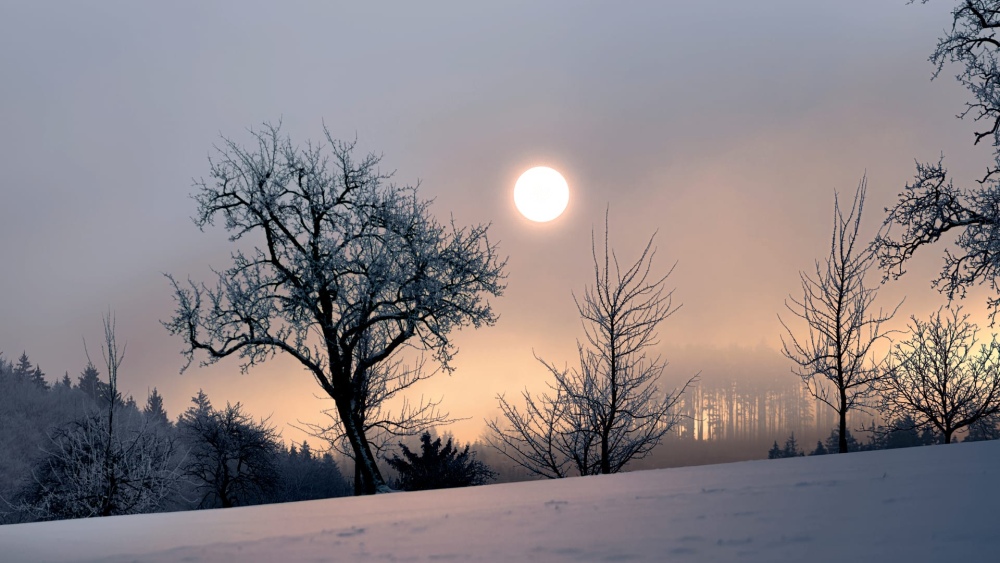 Hoy comienza el solsticio de invierno y es el día más corto del año