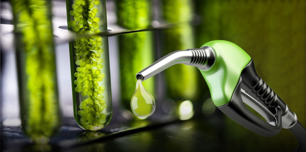 Bioetanol: la Secretaría de Energía permitió una suba en el precio del combustible