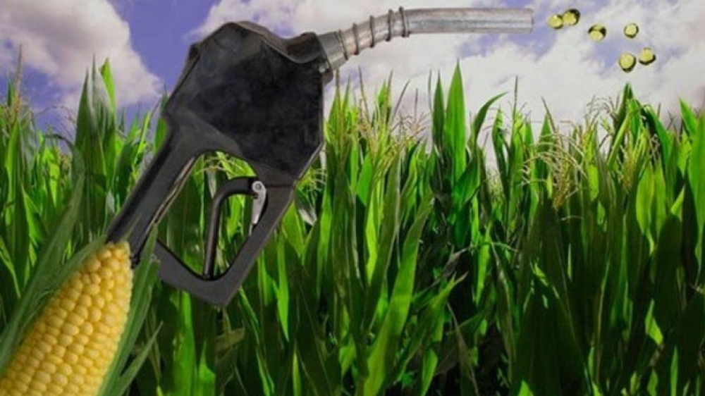 Energía convoca a proyectos de nuevas plantas de bioetanol a base de azúcar y maíz