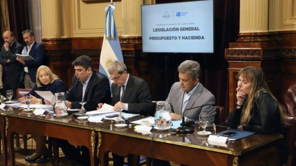 La Comisión de Legislación General del Senado debatió la Ley de Alquileres.  Foto: Ignacio Petunchi.
