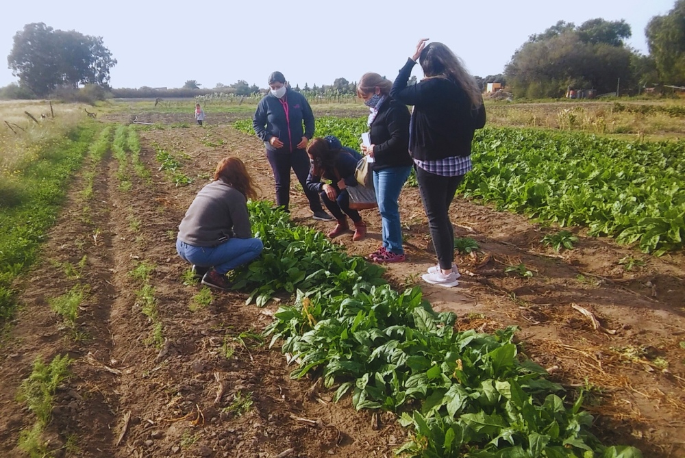 Villarino: Sello agroecológico para agricultores que producen con compromiso