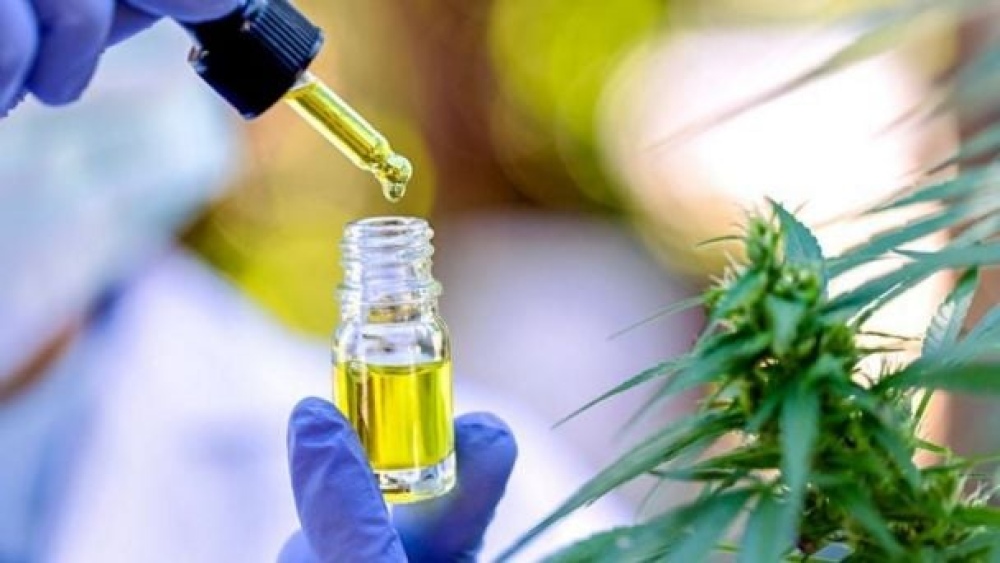 Cannabis Medicinal: unas 300.000 personas están registradas en el Reprocann