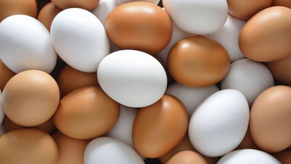 Semana Mundial del Huevo: los beneficios de su ingesta diaria