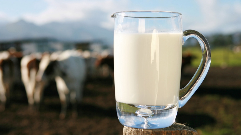 Oficializaron la suspensión de retenciones a los productos lácteos