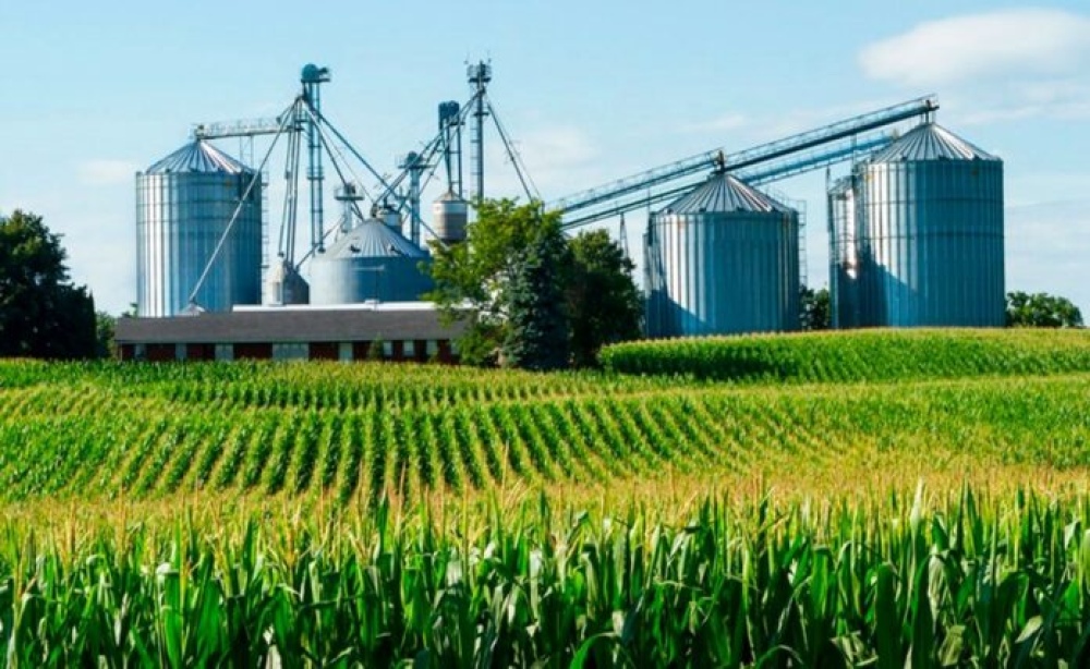 Economías Regionales: El Consejo Agroindustrial rechazó la suba de retenciones propuesta por el Gobierno