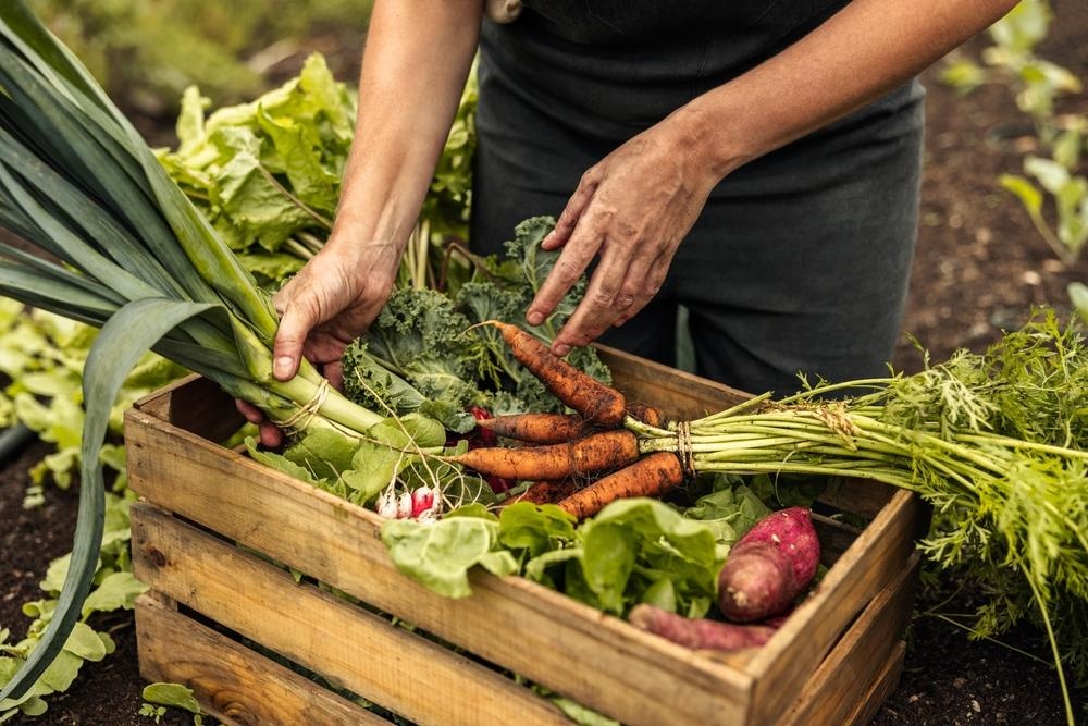 Adiós a las políticas de Soberanía Alimentaria: El área de Agroecología desaparecerá de la órbita nacional
