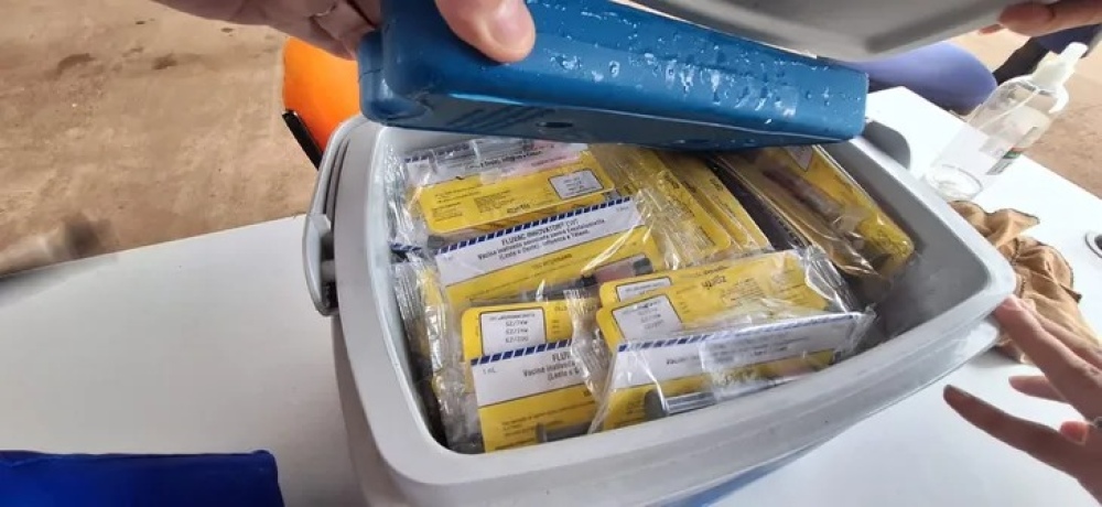 Aduana evitó el contrabando de más de 1.200 vacunas contra la encefalomielitis equina