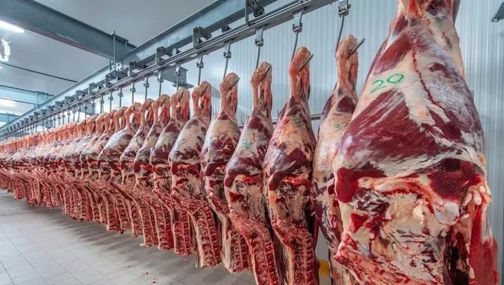 Desde el lunes próximo, no habrá restricciones para la exportación de cortes de carne vacuna