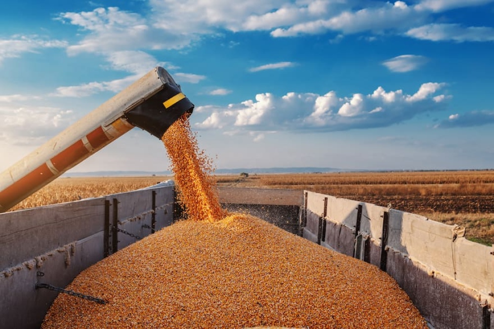 El Gobierno cierra el registro de exportaciones de granos