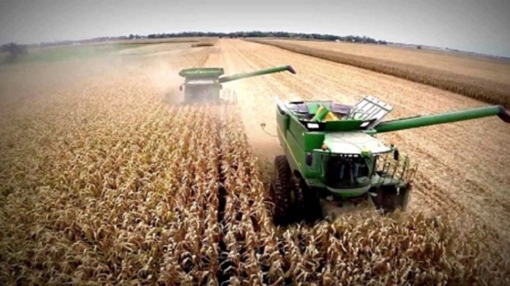 La Federación Agraria reclama “generar un equilibrio y mantener la producción”